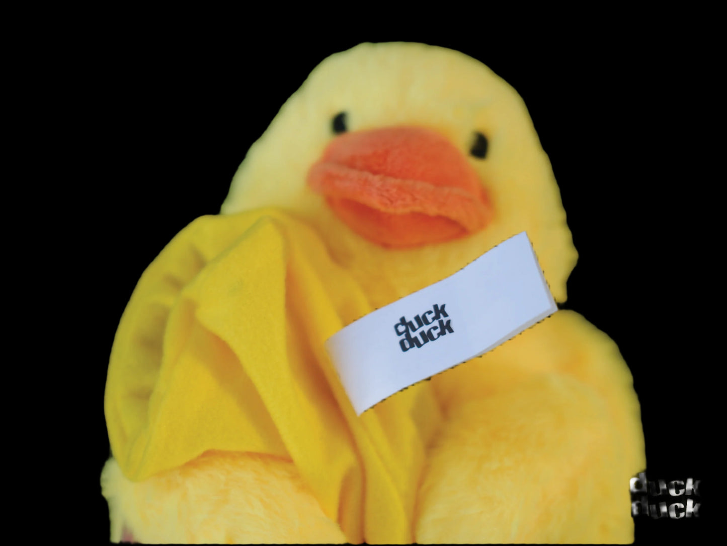 Lucas the Microwavable Duck 2.0