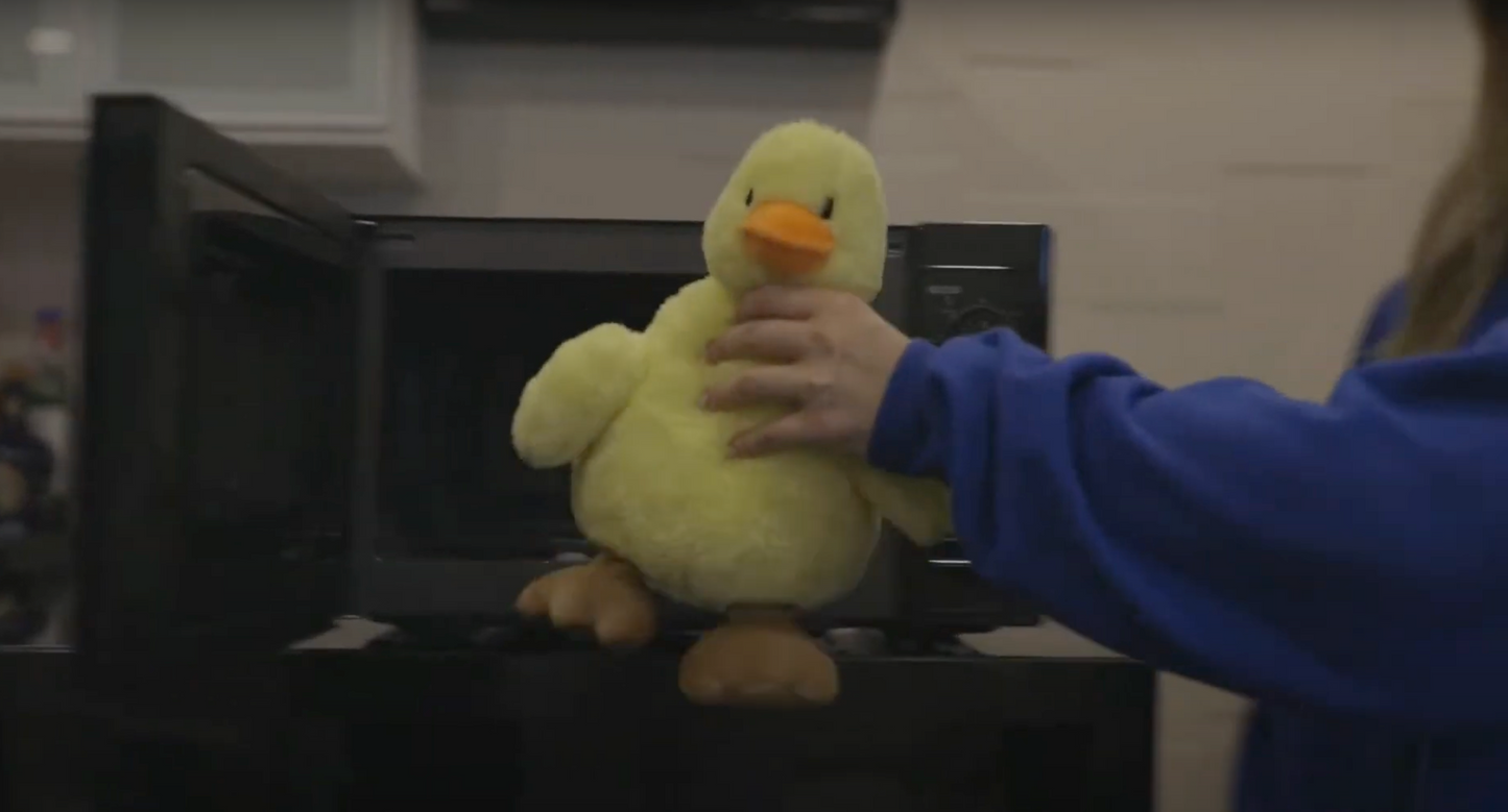 Lucas the Microwavable Duck 2.0
