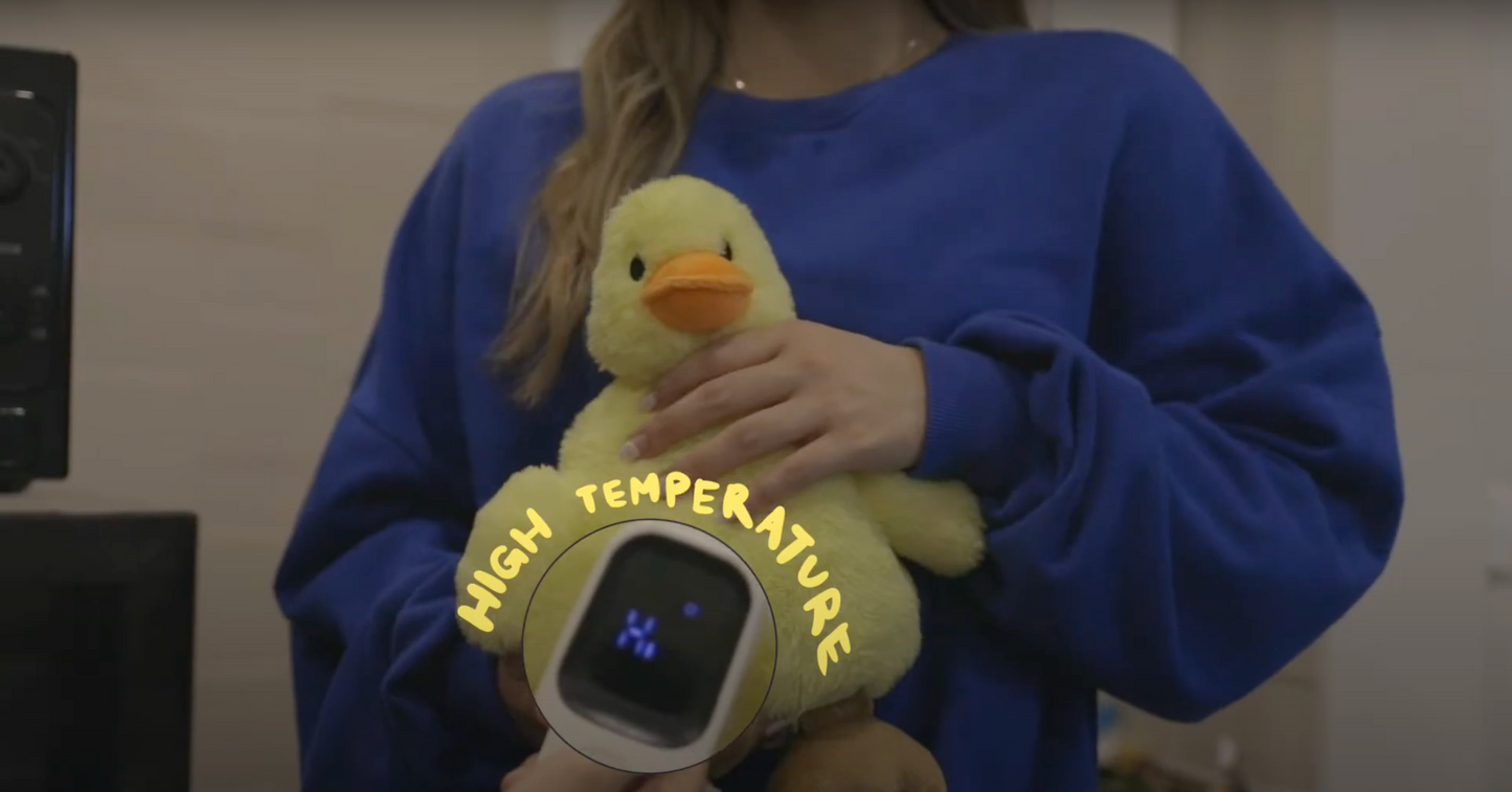 Lucas the Microwavable Duck 2.0