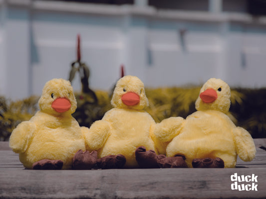 Lucas the Microwavable Duck (With Velcro)